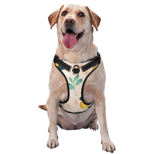 Frische gelbe Zitronen Sommerfrüchte, Haustiergeschirr, Verstellbares reflektierendes Hundegeschirr, Haustierleinenweste,S Frische gelbe Zitronen Sommerfrüchte, Haustiergeschirr, Verstellbares reflektierendes Hundegeschirr, Haustierleinenweste,S von YXDVPALNE