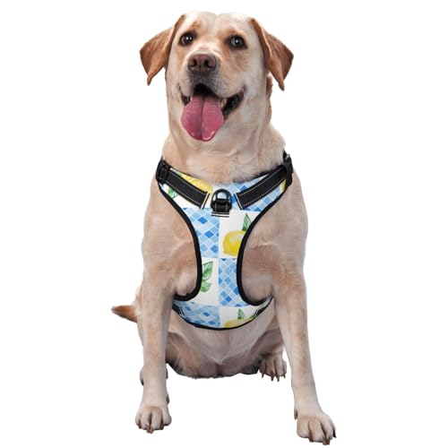 Gelb Zitronenblau Plaid, Haustiergeschirr, Verstellbares reflektierendes Hundegeschirr, Haustierleinenweste,M Gelb Zitronenblau Plaid, Haustiergeschirr, Verstellbares reflektierendes Hundegeschirr, Haustierleinenweste,M von YXDVPALNE