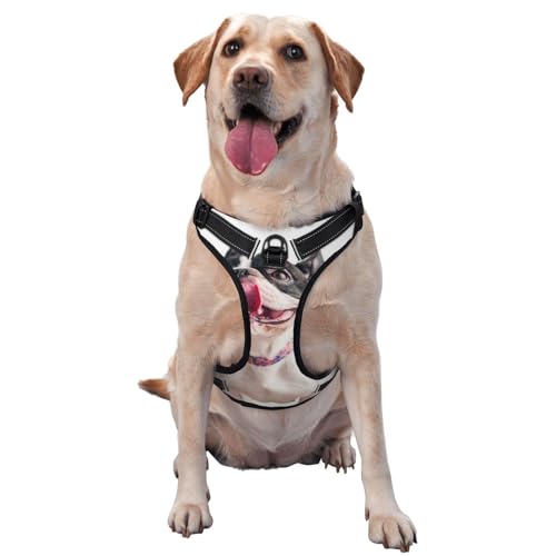 Glücklicher neugieriger Hund Französische Bulldogge, Haustiergeschirr, Verstellbares reflektierendes Hundegeschirr, Haustierleinenweste,XL Glücklicher neugieriger Hund Französische Bulldogge, Haustiergeschirr, Verstellbares reflektierendes Hundegeschirr, Haustierleinenweste,XL von YXDVPALNE