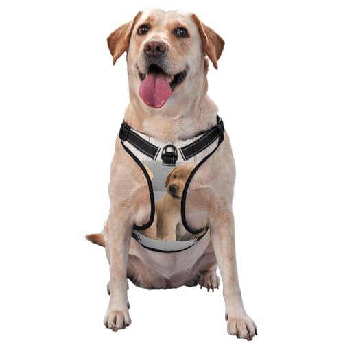 Golden Retriever Hunde Welpen Labrador Hunde, Haustiergeschirr, Verstellbares reflektierendes Hundegeschirr, Haustierleinenweste,L Golden Retriever Hunde Welpen Labrador Hunde, Haustiergeschirr, Verstellbares reflektierendes Hundegeschirr, Haustierleinenweste,L von YXDVPALNE