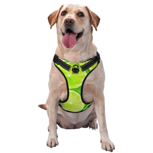 Grüne Zitrone, Haustiergeschirr, Verstellbares reflektierendes Hundegeschirr, Haustierleinenweste,S Grüne Zitrone, Haustiergeschirr, Verstellbares reflektierendes Hundegeschirr, Haustierleinenweste,S von YXDVPALNE