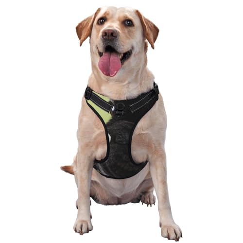 Hundemuster Mops Blumenmuster, Haustiergeschirr, Verstellbares reflektierendes Hundegeschirr, Haustierleinenweste,L Hundemuster Mops Blumenmuster, Haustiergeschirr, Verstellbares reflektierendes Hundegeschirr, Haustierleinenweste,L von YXDVPALNE
