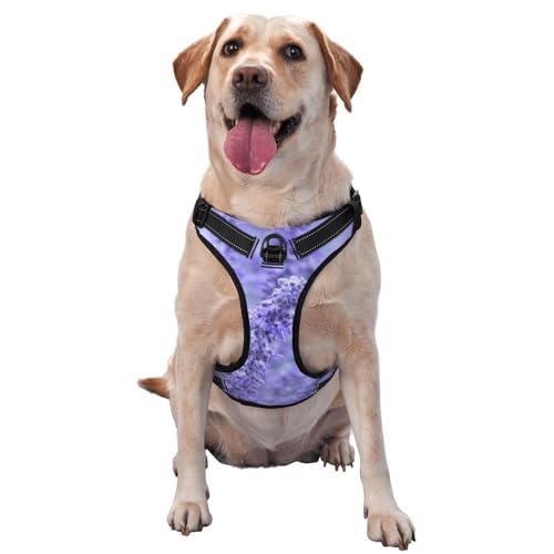 Lavendelfarbene Blumen, Haustiergeschirr, Verstellbares reflektierendes Hundegeschirr, Haustierleinenweste,L Lavendelfarbene Blumen, Haustiergeschirr, Verstellbares reflektierendes Hundegeschirr, Haustierleinenweste,L von YXDVPALNE