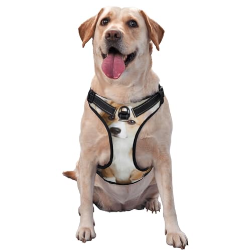 Lustiges Corgi-Hundemuster, Haustiergeschirr, Verstellbares reflektierendes Hundegeschirr, Haustierleinenweste,XL Lustiges Corgi-Hundemuster, Haustiergeschirr, Verstellbares reflektierendes Hundegeschirr, Haustierleinenweste,XL von YXDVPALNE