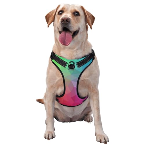 Mehrfarbige polygonale Dreiecke, die aus Regenbogen bestehen, Haustiergeschirr, Verstellbares reflektierendes Hundegeschirr, Haustierleinenweste,S Mehrfarbige polygonale Dreiecke, die aus Regenbogen bestehen, Haustiergeschirr, Verstellbares reflektierendes Hundegeschirr, Haustierleinenweste,S von YXDVPALNE