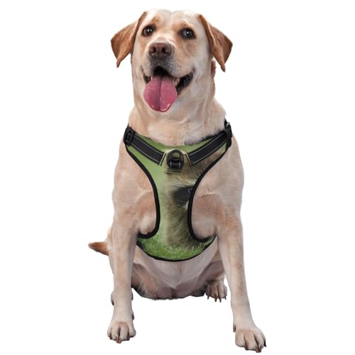 Niedlicher Waschbär-Modedruck, Haustiergeschirr, Verstellbares reflektierendes Hundegeschirr, Haustierleinenweste,XL Niedlicher Waschbär-Modedruck, Haustiergeschirr, Verstellbares reflektierendes Hundegeschirr, Haustierleinenweste,XL von YXDVPALNE