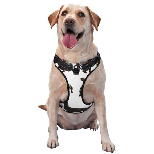 Niedliches Dackel-Hundemuster, Haustiergeschirr, Verstellbares reflektierendes Hundegeschirr, Haustierleinenweste,XL Niedliches Dackel-Hundemuster, Haustiergeschirr, Verstellbares reflektierendes Hundegeschirr, Haustierleinenweste,XL von YXDVPALNE