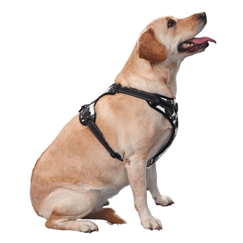 Paddelkaktus Schwärzestes Schwarz, Haustiergeschirr, Verstellbares reflektierendes Hundegeschirr, Haustierleinenweste,L Paddelkaktus Schwärzestes Schwarz, Haustiergeschirr, Verstellbares reflektierendes Hundegeschirr, Haustierleinenweste,L von YXDVPALNE