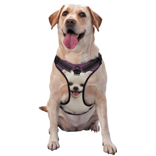 Pommersches Hundemuster, Haustiergeschirr, Verstellbares reflektierendes Hundegeschirr, Haustierleinenweste,L Pommersches Hundemuster, Haustiergeschirr, Verstellbares reflektierendes Hundegeschirr, Haustierleinenweste,L von YXDVPALNE