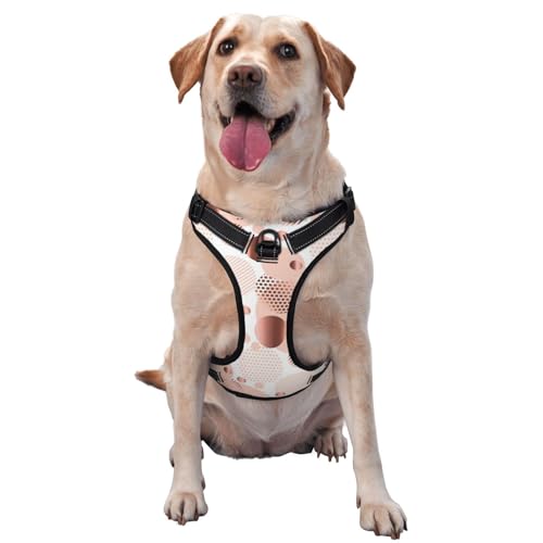 Rose Gold Wave, Haustiergeschirr, Verstellbares reflektierendes Hundegeschirr, Haustierleinenweste,M Rose Gold Wave, Haustiergeschirr, Verstellbares reflektierendes Hundegeschirr, Haustierleinenweste,M von YXDVPALNE