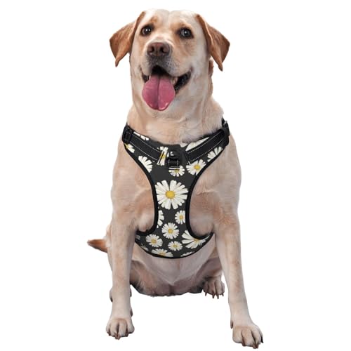 Schöne weiße Gänseblümchen, Haustiergeschirr, Verstellbares reflektierendes Hundegeschirr, Haustierleinenweste,S Schöne weiße Gänseblümchen, Haustiergeschirr, Verstellbares reflektierendes Hundegeschirr, Haustierleinenweste,S von YXDVPALNE
