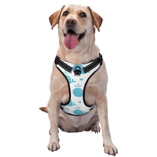 Süße Blauwale, Haustiergeschirr, Verstellbares reflektierendes Hundegeschirr, Haustierleinenweste,S Süße Blauwale, Haustiergeschirr, Verstellbares reflektierendes Hundegeschirr, Haustierleinenweste,S von YXDVPALNE