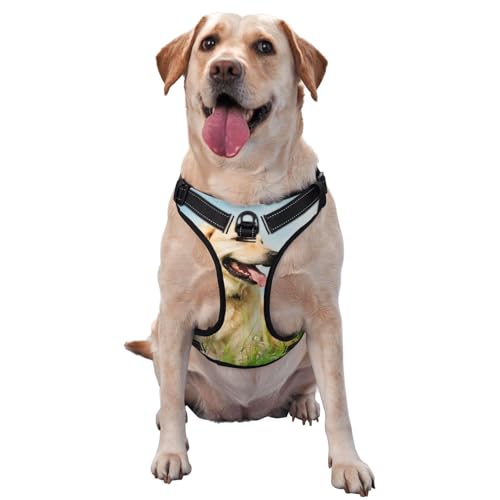Süßer Labrador Hund Bedruckt, Haustiergeschirr, Verstellbares reflektierendes Hundegeschirr, Haustierleinenweste,M Süßer Labrador Hund Bedruckt, Haustiergeschirr, Verstellbares reflektierendes Hundegeschirr, Haustierleinenweste,M von YXDVPALNE