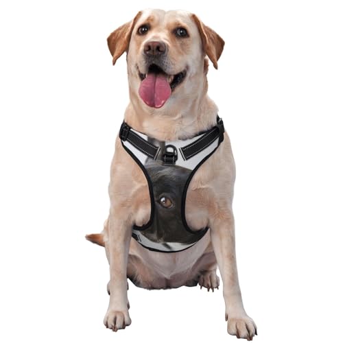 Süßes Haustier, süßer schwarzer französischer Bulldoggenwelpe, Haustiergeschirr, Verstellbares reflektierendes Hundegeschirr, Haustierleinenweste,XL Süßes Haustier, süßer schwarzer französischer Bulldoggenwelpe, Haustiergeschirr, Verstellbares reflektierendes Hundegeschirr, Haustierleinenweste,XL von YXDVPALNE