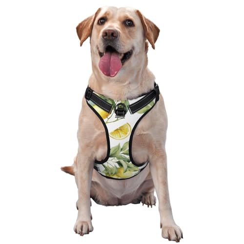 Zitrone Zitrone, Haustiergeschirr, Verstellbares reflektierendes Hundegeschirr, Haustierleinenweste,S Zitrone Zitrone, Haustiergeschirr, Verstellbares reflektierendes Hundegeschirr, Haustierleinenweste,S von YXDVPALNE