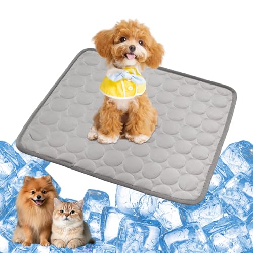 YXHZVON Kühlmatte Hund & Katzen, 60 x 50 cm Haustier Kühlmatte, Selbst Kühlende Hundematte Sommer, Kühlkissen Hund Matte, Cooling Mat for Dog Cat Pets, Größe: M (Grau) von YXHZVON
