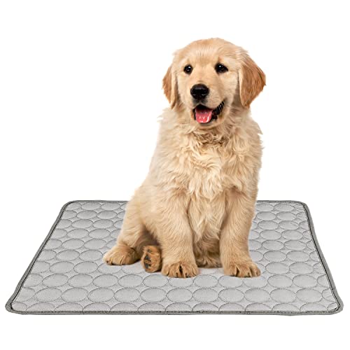 YXHZVON Kühlmatte Hund & Katzen, 60 x 50 cm Haustier Kühlmatte, Selbst Kühlende Hundematte Sommer, Kühlkissen Hund Matte, Cooling Mat for Dog Cat Pets, Größe: M (Grau) von YXHZVON