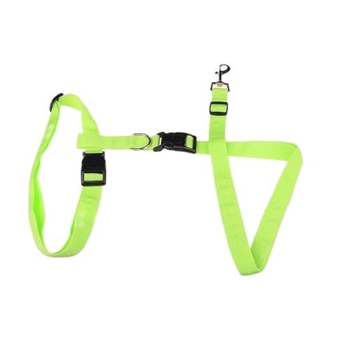 Joggingleine Hunde 1PC Einstellbare Hände Katze Hund Freies Laufen Gehen Joggen Haustier Leine Taille Gürtel Zugseil Haustiere Liefert(Green) von YXINAER