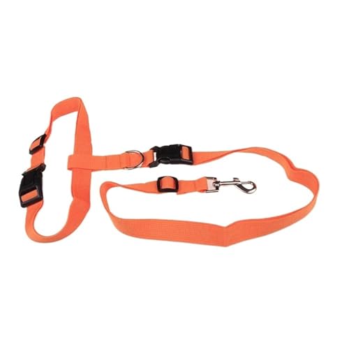 Joggingleine Hunde 1PC Einstellbare Hände Katze Hund Freies Laufen Gehen Joggen Haustier Leine Taille Gürtel Zugseil Haustiere Liefert(Orange) von YXINAER