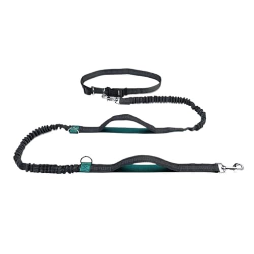 Joggingleine Hunde 1PC Einziehbarer Freisprech-Hundegurt for Laufgürtel Großer Hunde-Traktionsgurt Heimtierbedarf(Dark Green) von YXINAER