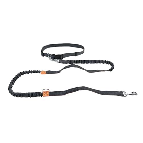 Joggingleine Hunde 1PC Einziehbarer Freisprech-Hundegurt for Laufgürtel Großer Hunde-Traktionsgurt Heimtierbedarf(Orange) von YXINAER