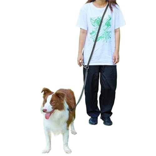 Joggingleine Hunde Freihändige Hundeleinen for Gassigehen, Laufseil, 2,4m lang, verstellbare Doppelleinen, Hundeseile(Black 2.5x200cm) von YXINAER