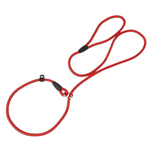 Joggingleine Hunde Hundeketten, Halsbänder, Leinen, strapazierfähiges Nylonseil, kein Ziehen, Haustier-Trainingsgürtel for kleine Hunde, Welpen-Zugseil(Red,L Size 1.0cm x 130cm) von YXINAER