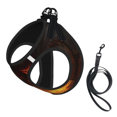 A Big Spider Hundegeschirr - Verstellbares Hundegeschirr mit reflektierendem Design, geeignet für Hunde, Katzen, Wandern, Outdoor-Aktivitäten von YXLymxDAMAI