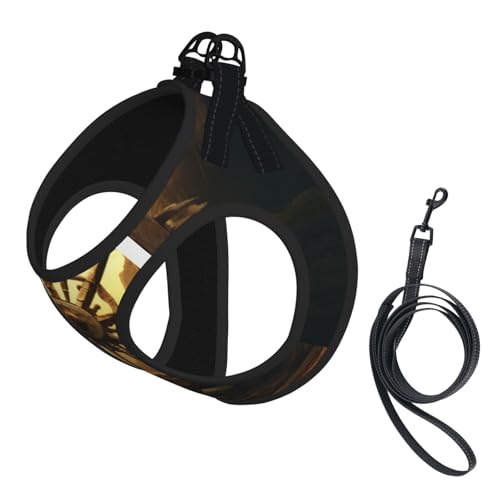 Ancient Roulette Hundegeschirr - Verstellbares Hundegeschirr mit reflektierendem Design, geeignet für Hunde, Katzen, Wandern, Outdoor-Aktivitäten von YXLymxDAMAI
