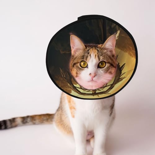 Ancient Roulette Hundekegelhalsband – Schutzhalsband für Hunde und Katzen, bequemes Haustier-Genesungshalsband für große und mittelgroße Welpen Ancient Roulette Hundekegelhalsband – Schutzhalsband für Hunde und Katzen, bequemes Haustier-Genesungshalsband für große und mittelgroße Welpen von YXLymxDAMAI