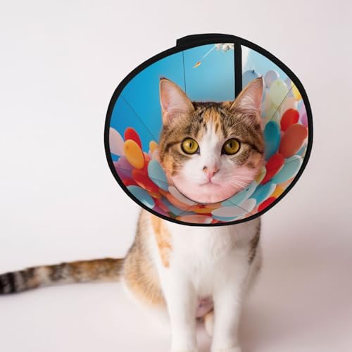 Balloon in The Sky Hundekegelhalsband – Schutzhalsband für Hunde und Katzen, bequemes Haustier-Genesungshalsband für große und mittelgroße Welpen von YXLymxDAMAI