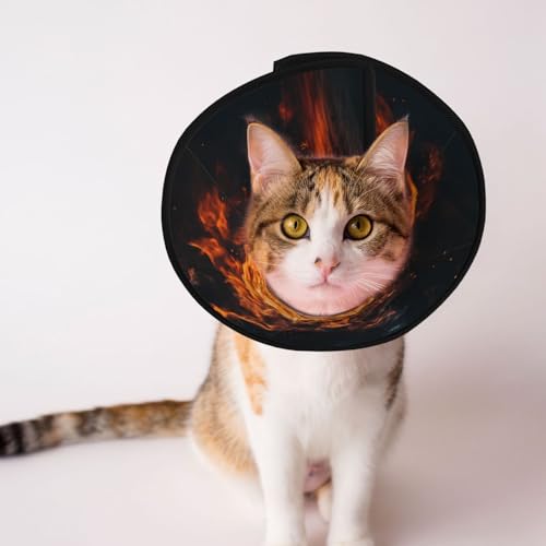 Basketball und Feuer Hundekegel Halsband – Schutzhalsband für Hunde und Katzen, bequemes Haustier-Genesungshalsband für große und mittelgroße Welpen Basketball und Feuer Hundekegel Halsband – Schutzhalsband für Hunde und Katzen, bequemes Haustier-Genesungshalsband für große und mittelgroße Welpen von YXLymxDAMAI