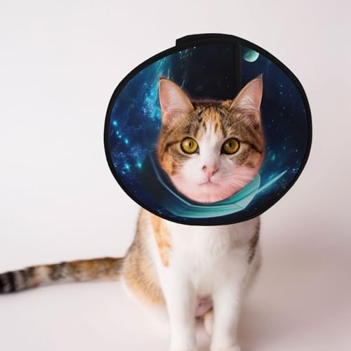 Blue Planet Hundehalsband, Schutzhalsband für Hunde und Katzen, bequemes Haustier-Genesungshalsband für große und mittelgroße Welpen Blue Planet Hundehalsband, Schutzhalsband für Hunde und Katzen, bequemes Haustier-Genesungshalsband für große und mittelgroße Welpen von YXLymxDAMAI