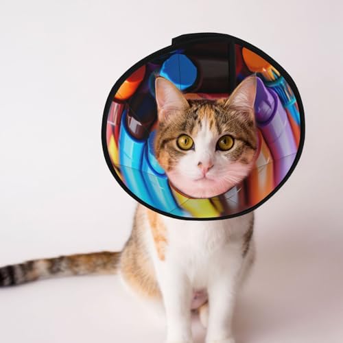 Buntes Buntstift-Hundehalsband – Schutzhalsband für Hunde und Katzen, bequemes Haustier-Genesungshalsband für große und mittelgroße Welpen Buntes Buntstift-Hundehalsband – Schutzhalsband für Hunde und Katzen, bequemes Haustier-Genesungshalsband für große und mittelgroße Welpen von YXLymxDAMAI