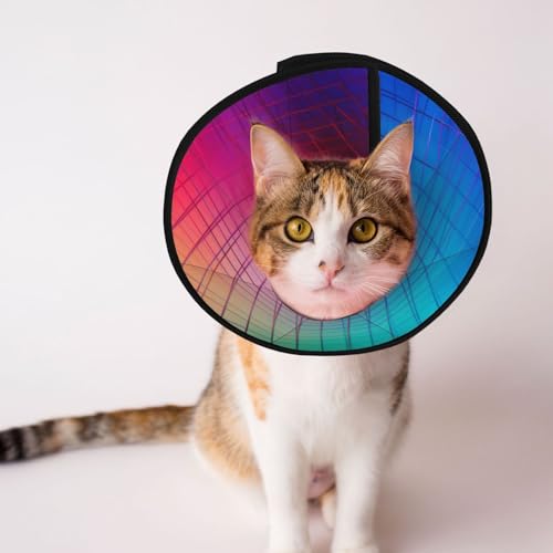 Curve Color Line Hundehalsband, Schutzkragen für Hunde und Katzen, bequemes Haustier-Genesungshalsband für große und mittelgroße Welpen von YXLymxDAMAI