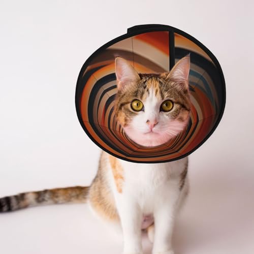 Dizzy Color Circle Hundehalsband – Schutzhalsband für Hunde und Katzen, bequemes Haustier-Genesungshalsband für große und mittelgroße Welpen Dizzy Color Circle Hundehalsband – Schutzhalsband für Hunde und Katzen, bequemes Haustier-Genesungshalsband für große und mittelgroße Welpen von YXLymxDAMAI