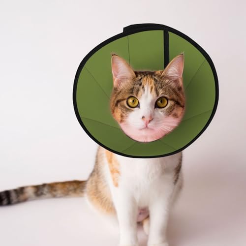 Dunkelgrünes Hundehalsband, Schutzhalsband für Hunde und Katzen, bequemes Haustier-Genesungshalsband für große und mittelgroße Welpen Dunkelgrünes Hundehalsband, Schutzhalsband für Hunde und Katzen, bequemes Haustier-Genesungshalsband für große und mittelgroße Welpen von YXLymxDAMAI