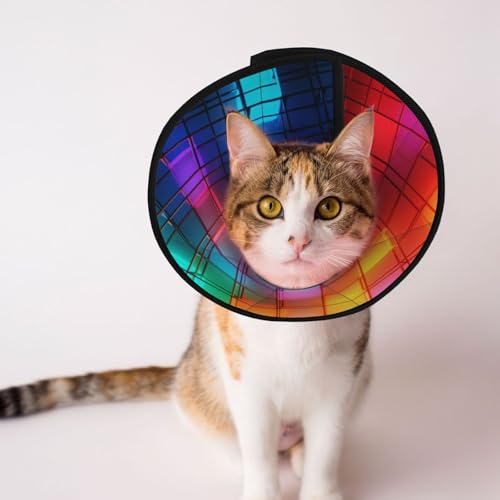 Farbiges quadratisches Hundekegelhalsband – Schutzhalsband für Hunde und Katzen, bequemes Haustier-Genesungshalsband für große und mittelgroße Welpen Farbiges quadratisches Hundekegelhalsband – Schutzhalsband für Hunde und Katzen, bequemes Haustier-Genesungshalsband für große und mittelgroße Welpen von YXLymxDAMAI