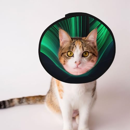 Green Line Hundekegelhalsband – Schutzhalsband für Hunde und Katzen, bequemes Haustier-Genesungshalsband für große und mittelgroße Welpen von YXLymxDAMAI