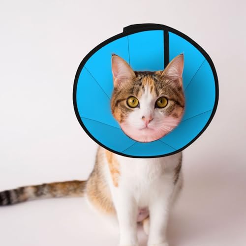 Hellblaues Hundehalsband – Schutzhalsband für Hunde und Katzen, bequemes Haustier-Genesungshalsband für große und mittelgroße Welpen Hellblaues Hundehalsband – Schutzhalsband für Hunde und Katzen, bequemes Haustier-Genesungshalsband für große und mittelgroße Welpen von YXLymxDAMAI