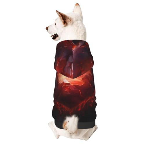 Hot Love Haustierkleidung für Hunde, weicher und warmer Hunde-Kapuzenpullover, geeignet für kleine und mittelgroße Hunde und Katzen, Schwarz Hot Love Haustierkleidung für Hunde, weicher und warmer Hunde-Kapuzenpullover, geeignet für kleine und mittelgroße Hunde und Katzen, Schwarz von YXLymxDAMAI