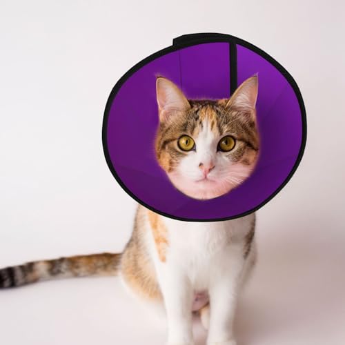 Hundehalsband in Dunkelviolett – Schutzhalsband für Hunde und Katzen, bequemes Haustier-Genesungshalsband für große und mittelgroße Welpen Hundehalsband in Dunkelviolett – Schutzhalsband für Hunde und Katzen, bequemes Haustier-Genesungshalsband für große und mittelgroße Welpen von YXLymxDAMAI