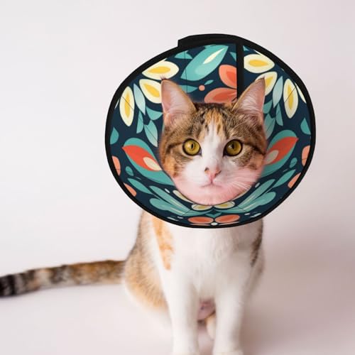 Hundehalsband mit Flugzeug-Blumenmuster – Schutzhalsband für Hunde und Katzen, bequemes Haustier-Genesungshalsband für große und mittelgroße Welpen Hundehalsband mit Flugzeug-Blumenmuster – Schutzhalsband für Hunde und Katzen, bequemes Haustier-Genesungshalsband für große und mittelgroße Welpen von YXLymxDAMAI