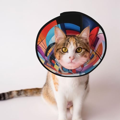 Hundehalsband mit coolem Farbbild, schützendes Halsband für Hunde und Katzen, bequemes Haustier-Genesungshalsband für große und mittelgroße Welpen Hundehalsband mit coolem Farbbild, schützendes Halsband für Hunde und Katzen, bequemes Haustier-Genesungshalsband für große und mittelgroße Welpen von YXLymxDAMAI