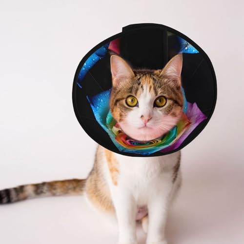 Hundehalsband mit mehrfarbigen Blumen – Schutzhalsband für Hunde und Katzen, bequemes Haustier-Genesungshalsband für große und mittelgroße Welpen von YXLymxDAMAI