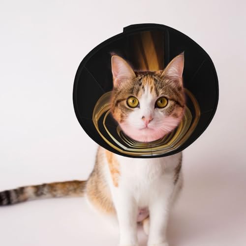 Hundehalsband mit transparenter weißer Öffnung, Schutzhalsband für Hunde und Katzen, bequemes Haustier-Genesungshalsband für große und mittelgroße Welpen Hundehalsband mit transparenter weißer Öffnung, Schutzhalsband für Hunde und Katzen, bequemes Haustier-Genesungshalsband für große und mittelgroße Welpen von YXLymxDAMAI