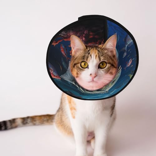 Hundekegelhalsband mit Fischschwarm – Schutzhalsband für Hunde und Katzen, bequemes Haustier-Genesungshalsband für große und mittelgroße Welpen von YXLymxDAMAI