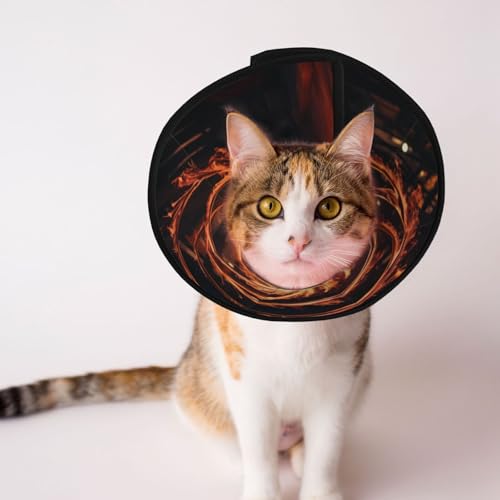 Hundekegelhalsband mit rotierendem Flammen – Schutzhalsband für Hunde und Katzen, bequemes Haustier-Genesungshalsband für große und mittelgroße Welpen von YXLymxDAMAI