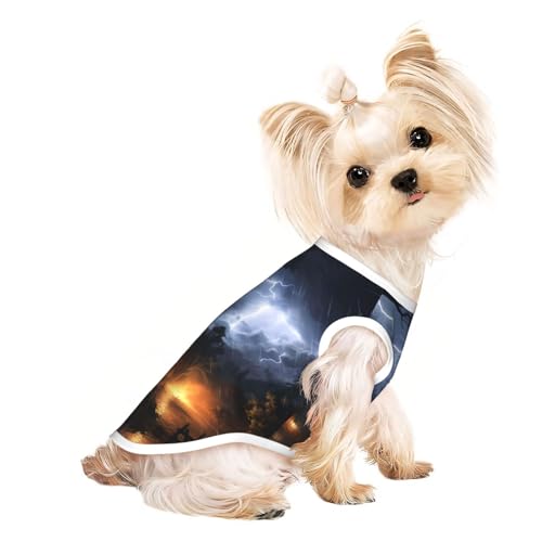 Hundeweste "A Night of Lightning and Thunder", Sommer-Hundebekleidung, niedliche Haustierkleidung für kleine und mittelgroße Hunde von YXLymxDAMAI