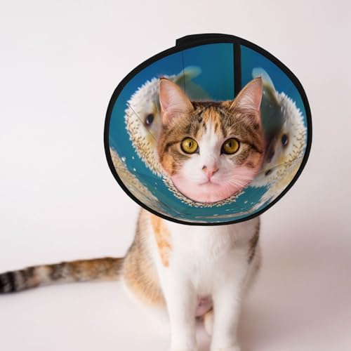 Igel im Wasser Hundekegelhalsband – Schutzhalsband für Hunde und Katzen, bequemes Haustier-Genesungshalsband für große und mittelgroße Welpen von YXLymxDAMAI